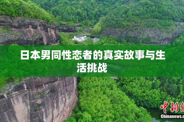 日本男同性恋者的真实故事与生活挑战