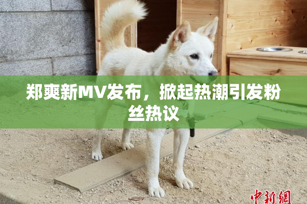 郑爽新MV发布，掀起热潮引发粉丝热议