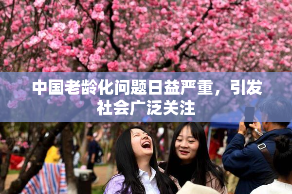 中国老龄化问题日益严重，引发社会广泛关注