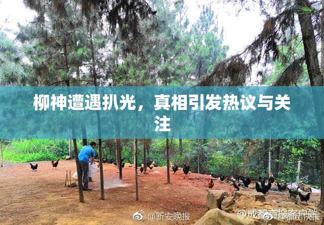 柳神遭遇扒光，真相引发热议与关注