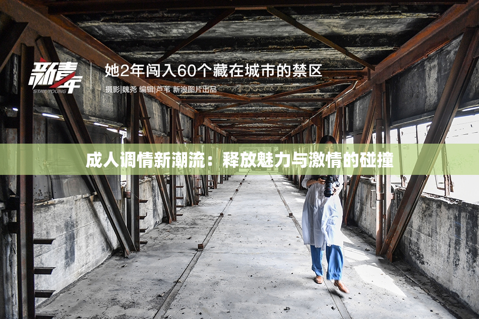 成人调情新潮流：释放魅力与激情的碰撞