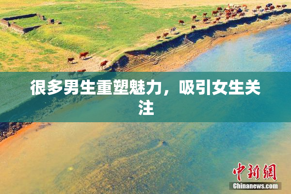很多男生重塑魅力，吸引女生关注