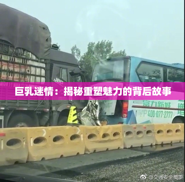 巨乳迷情：揭秘重塑魅力的背后故事