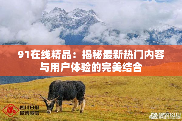 91在线精品：揭秘最新热门内容与用户体验的完美结合