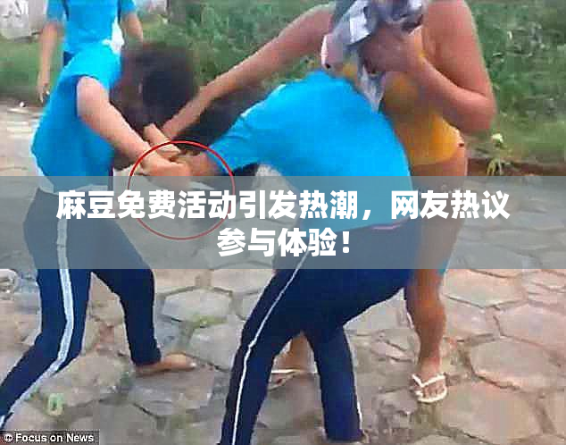 麻豆免费活动引发热潮，网友热议参与体验！