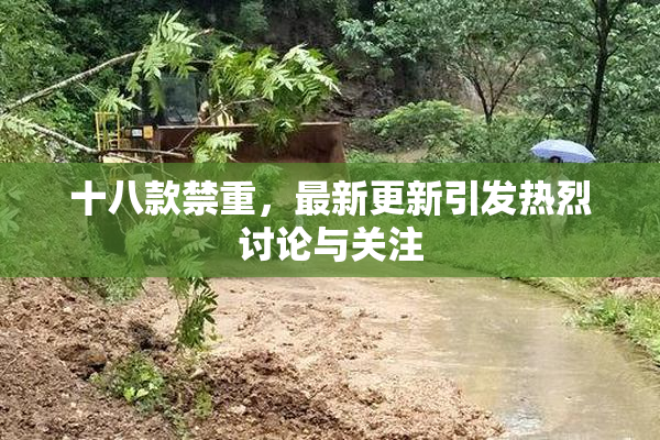 十八款禁重，最新更新引发热烈讨论与关注