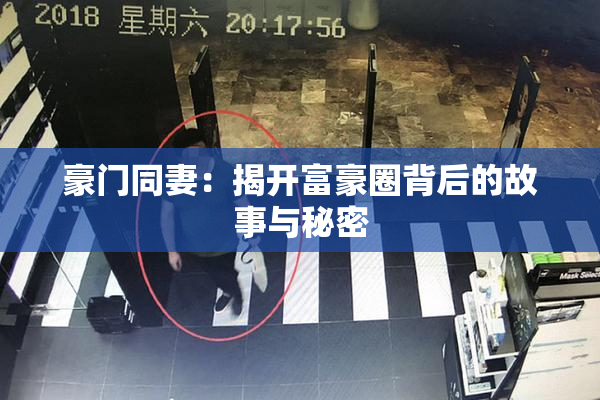 豪门同妻：揭开富豪圈背后的故事与秘密