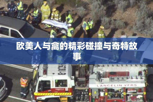 欧美人与禽的精彩碰撞与奇特故事