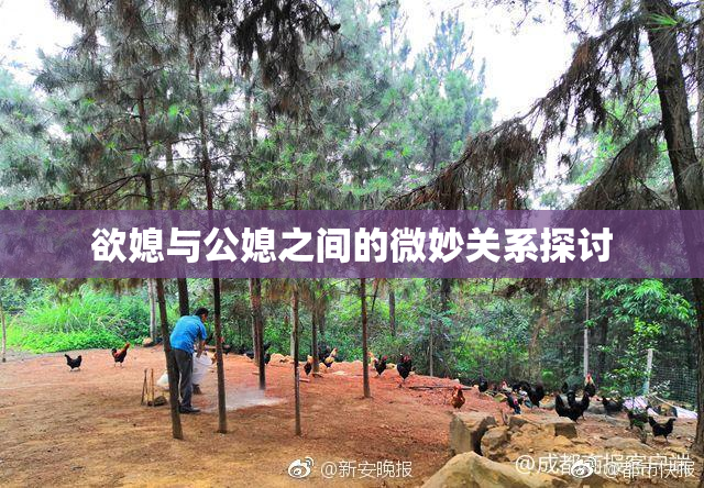 欲媳与公媳之间的微妙关系探讨
