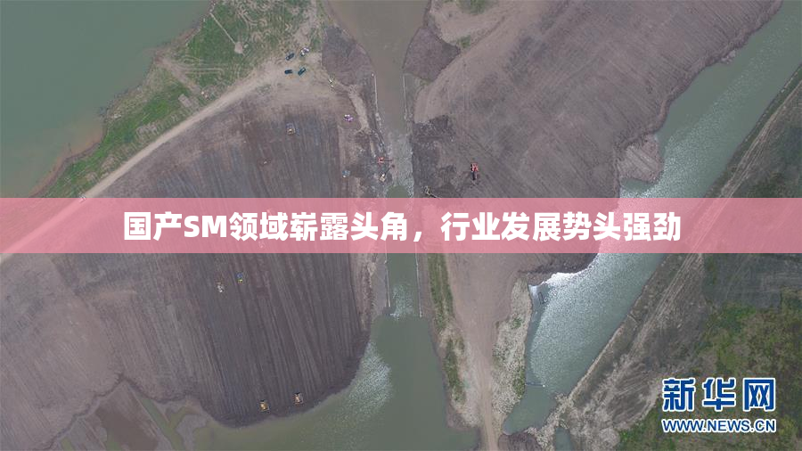 国产SM领域崭露头角，行业发展势头强劲