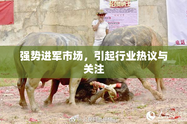 强势进军市场，引起行业热议与关注