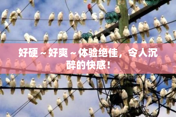 好硬～好爽～体验绝佳，令人沉醉的快感！