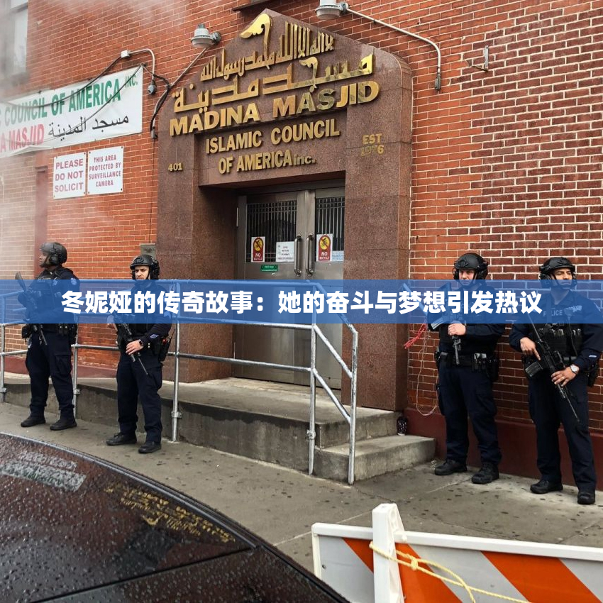 冬妮娅的传奇故事：她的奋斗与梦想引发热议
