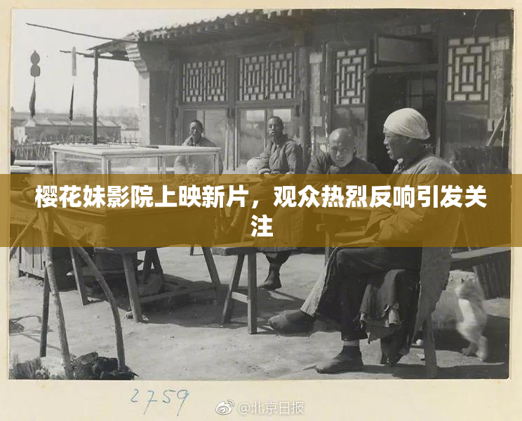 樱花妹影院上映新片，观众热烈反响引发关注
