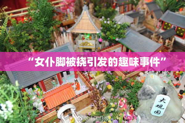 “女仆脚被挠引发的趣味事件”