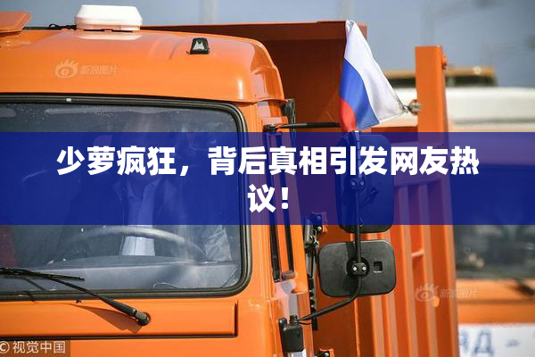少萝疯狂，背后真相引发网友热议！
