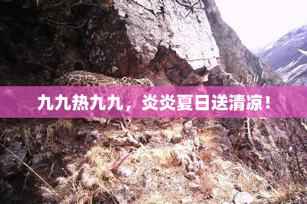 九九热九九，炎炎夏日送清凉！
