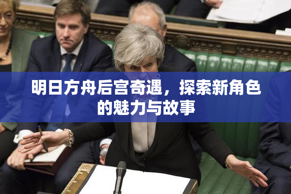 明日方舟后宫奇遇，探索新角色的魅力与故事