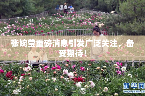 张婉莹重磅消息引发广泛关注，备受期待！