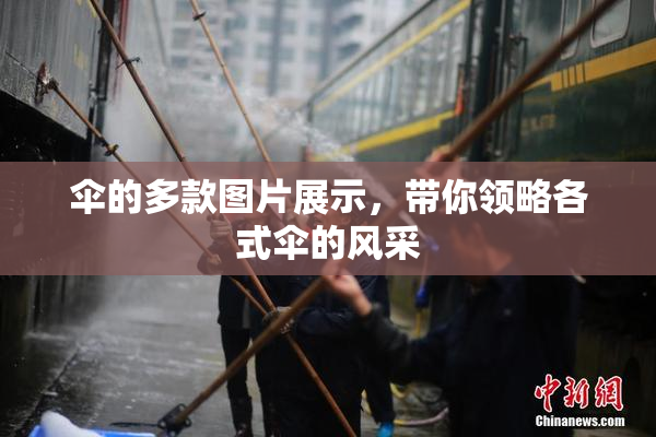 伞的多款图片展示，带你领略各式伞的风采