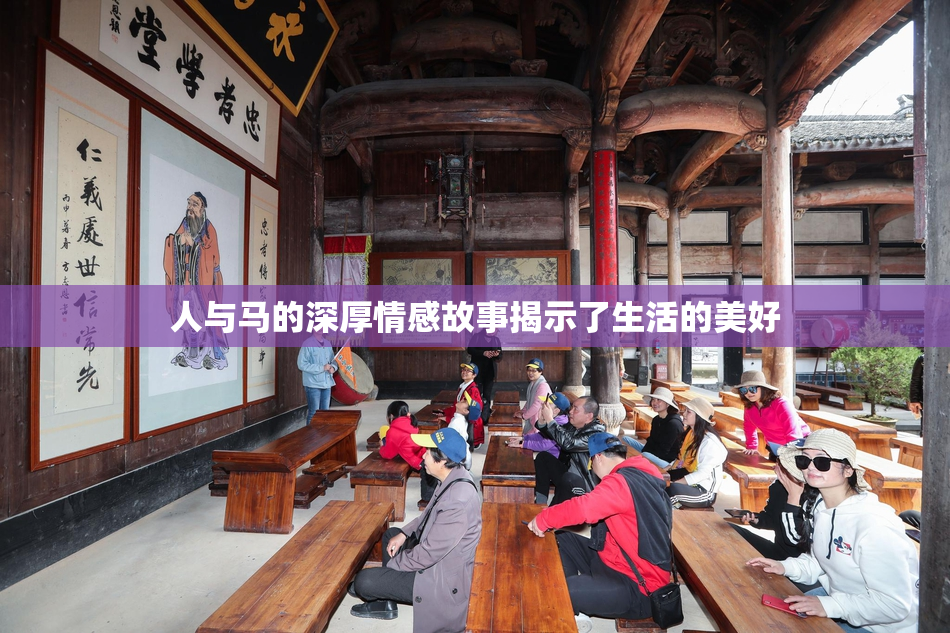 人与马的深厚情感故事揭示了生活的美好