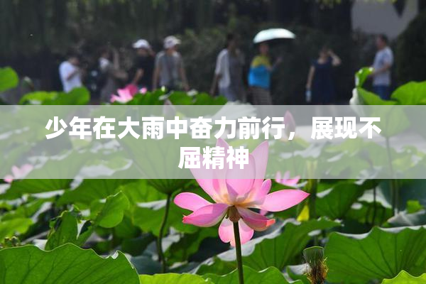 少年在大雨中奋力前行，展现不屈精神