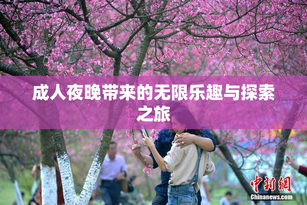 成人夜晚带来的无限乐趣与探索之旅