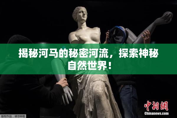 揭秘河马的秘密河流，探索神秘自然世界！