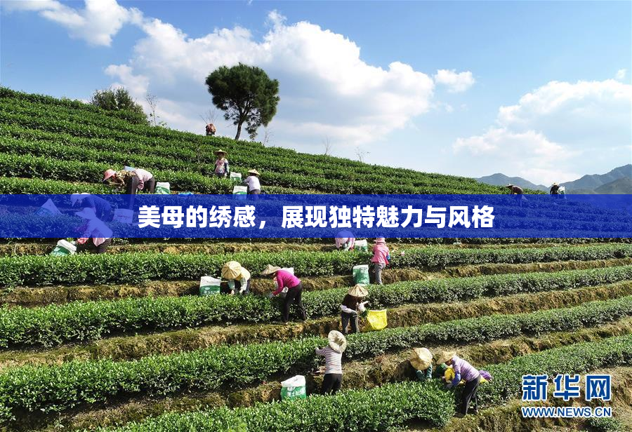 美母的绣感，展现独特魅力与风格