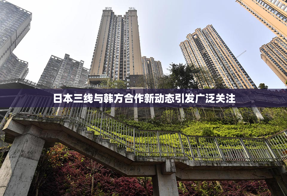 日本三线与韩方合作新动态引发广泛关注
