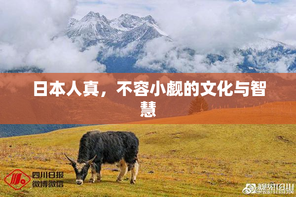 日本人真，不容小觑的文化与智慧