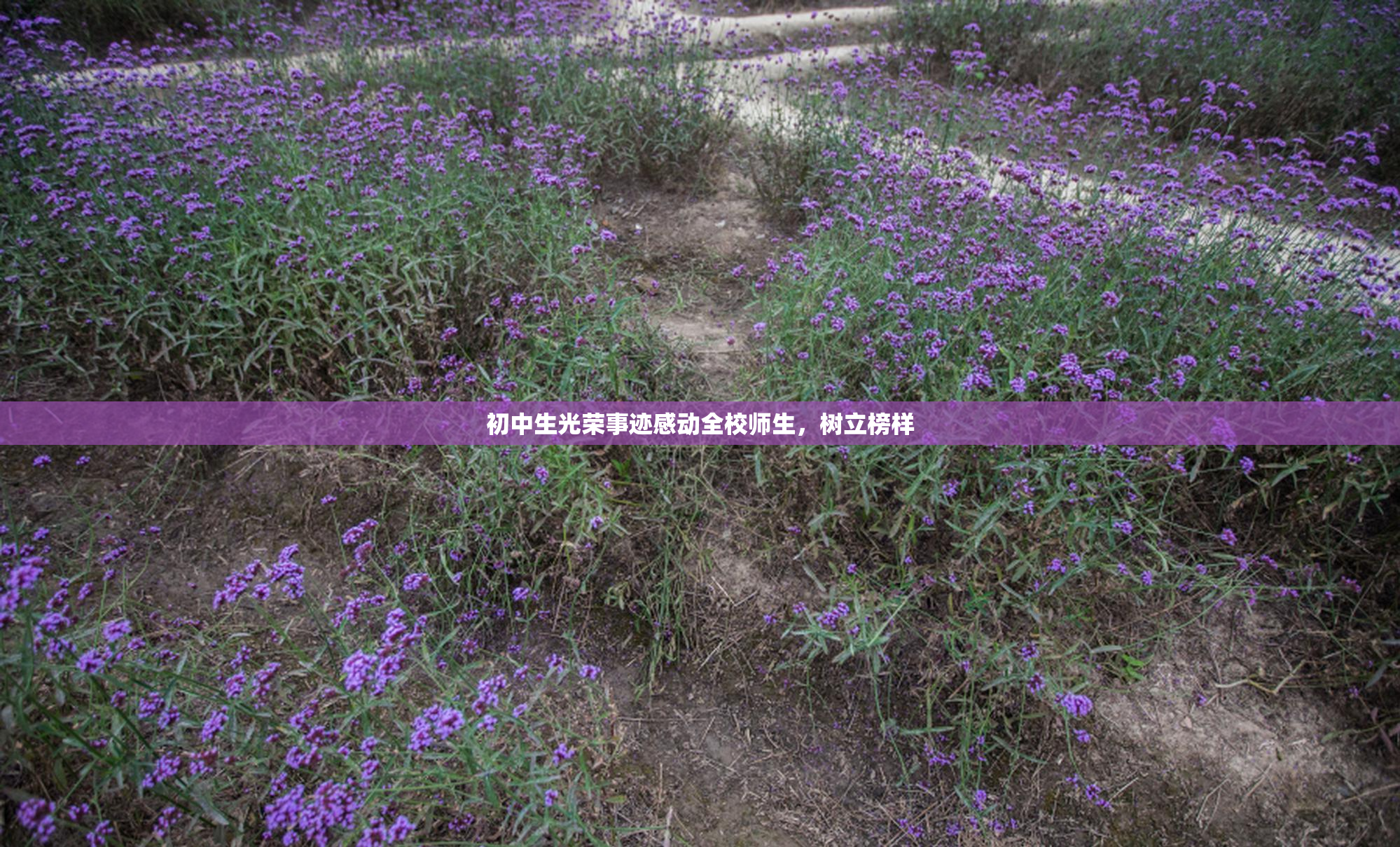 初中生光荣事迹感动全校师生，树立榜样
