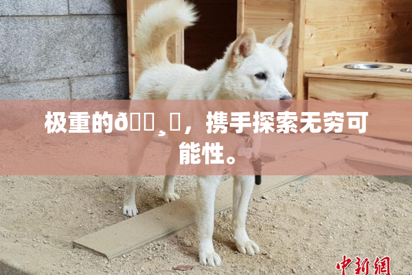 极重的🌸‌，携手探索无穷可能性。