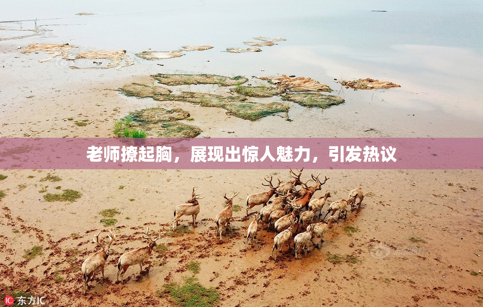 老师撩起胸，展现出惊人魅力，引发热议