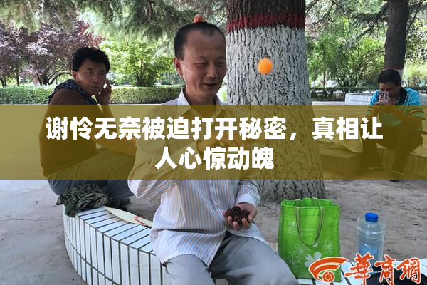 谢怜无奈被迫打开秘密，真相让人心惊动魄