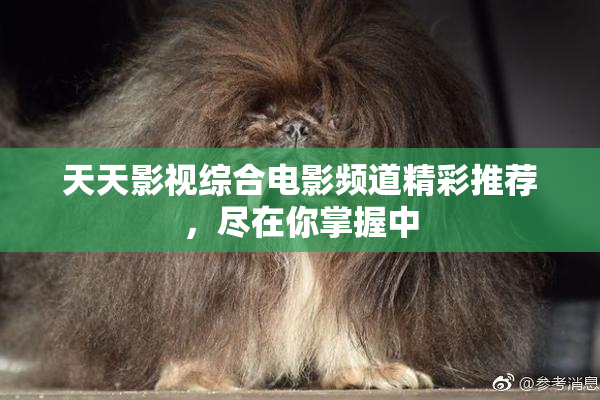 天天影视综合电影频道精彩推荐，尽在你掌握中