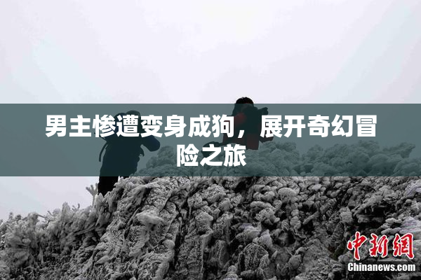 男主惨遭变身成狗，展开奇幻冒险之旅