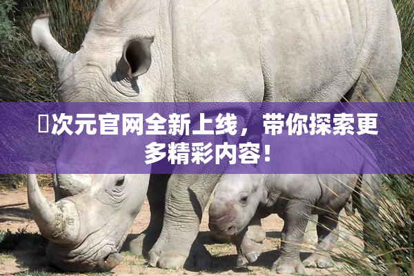 囧次元官网全新上线，带你探索更多精彩内容！