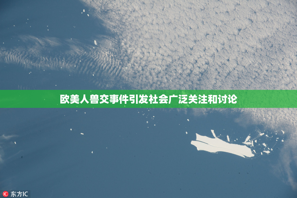 欧美人兽交事件引发社会广泛关注和讨论
