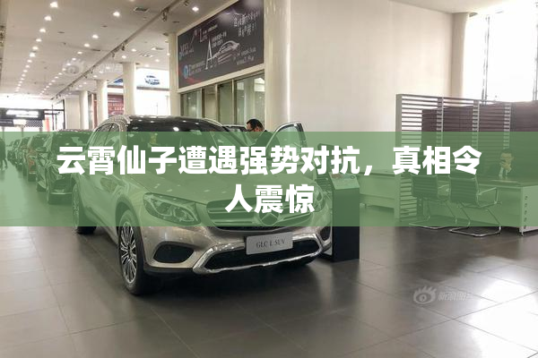 云霄仙子遭遇强势对抗，真相令人震惊