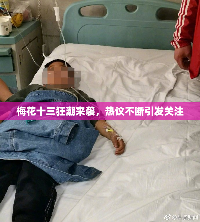 梅花十三狂潮来袭，热议不断引发关注