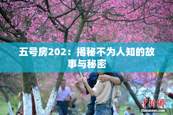 五号房202：揭秘不为人知的故事与秘密