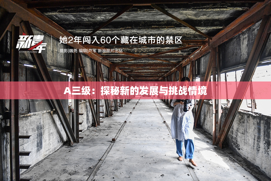 A三级：探秘新的发展与挑战情境