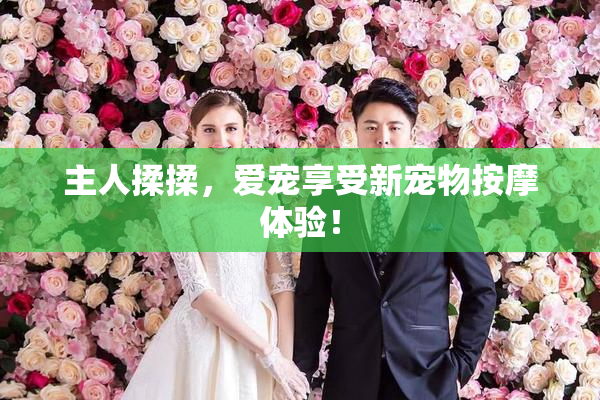 主人揉揉，爱宠享受新宠物按摩体验！