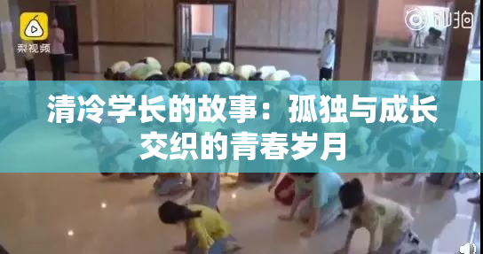 清冷学长的故事：孤独与成长交织的青春岁月