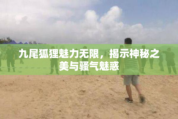 九尾狐狸魅力无限，揭示神秘之美与骚气魅惑
