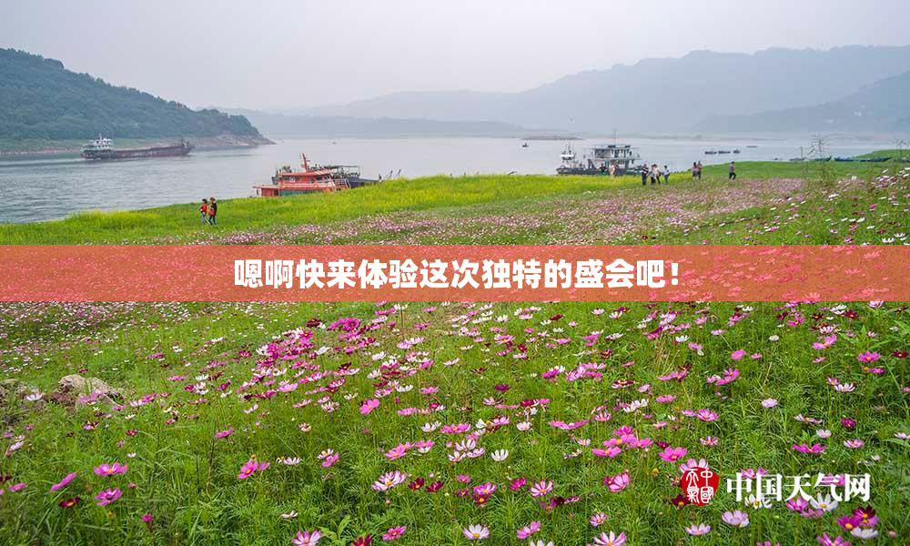 嗯啊快来体验这次独特的盛会吧！
