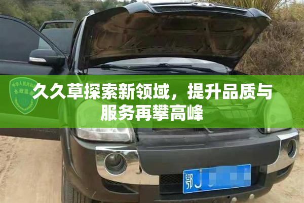 久久草探索新领域，提升品质与服务再攀高峰