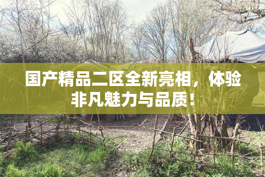 国产精品二区全新亮相，体验非凡魅力与品质！