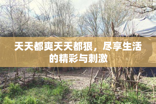 天天都爽天天都狠，尽享生活的精彩与刺激